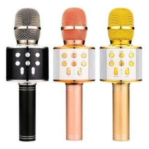 Mic Karaoke 858