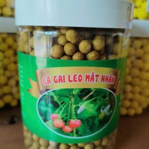 Hộp Viên Cà Gai Leo