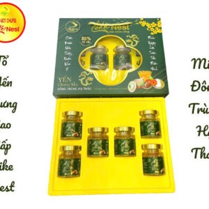Yến Sào Chưng Like Nest Màu Xanh Lá Cây Đông Trùng Hạ Thảo Hộp Lớn Xách